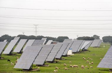 Solar Panel 1